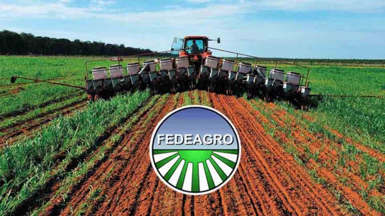 Fedeagro aboga por un 2022 de créditos para el sector agrícola